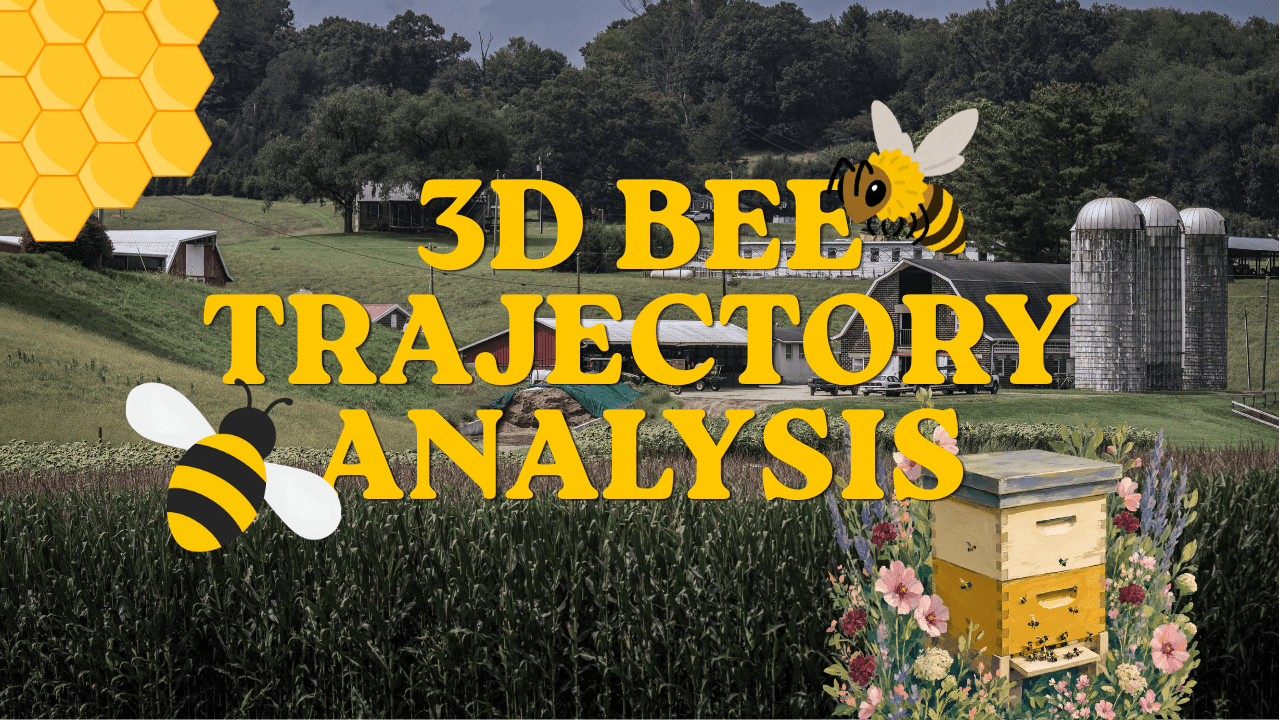 Understanding Bee Flight with Stereo Vision: Building a 3D Bee Trajectory Dataset